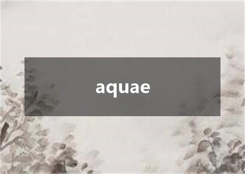 aquae是什么意思