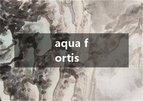 aqua fortis是什么意思