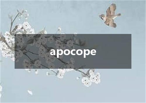 apocope是什么意思