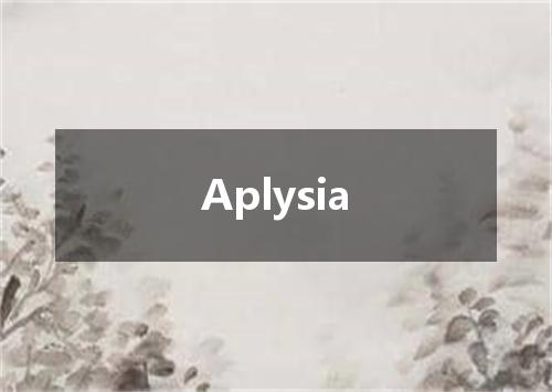 Aplysia是什么意思
