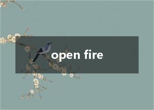 open fire是什么意思