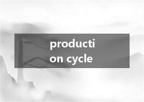 production cycle是什么意思