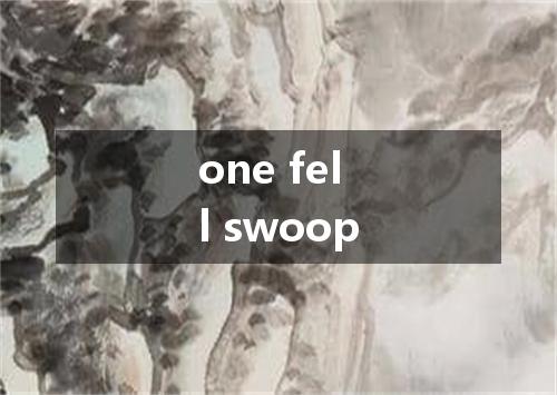 one fell swoop是什么意思