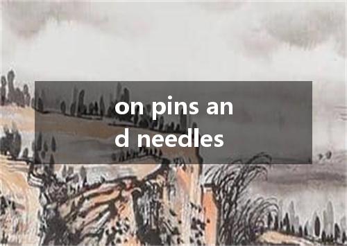 on pins and needles是什么意思