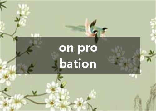 on probation是什么意思