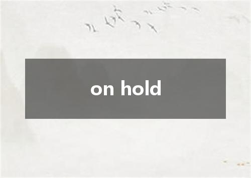 on hold是什么意思