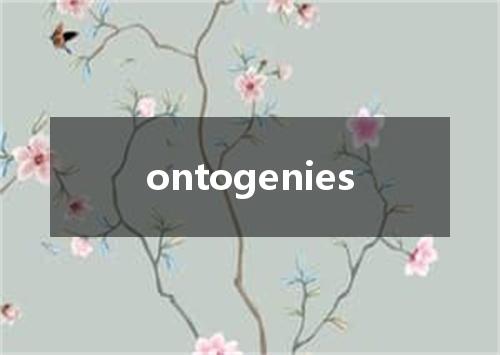 ontogenies是什么意思
