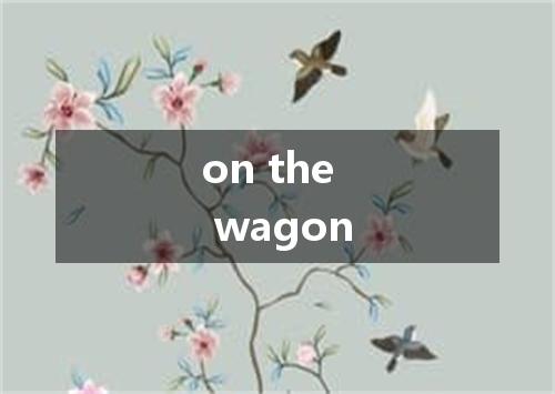 on the wagon是什么意思