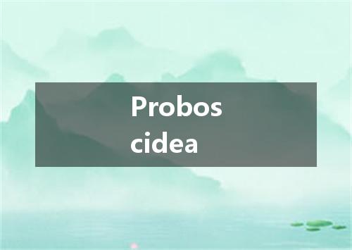 Proboscidea是什么意思