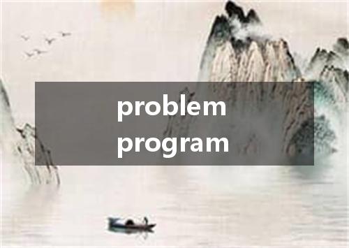 problem program是什么意思