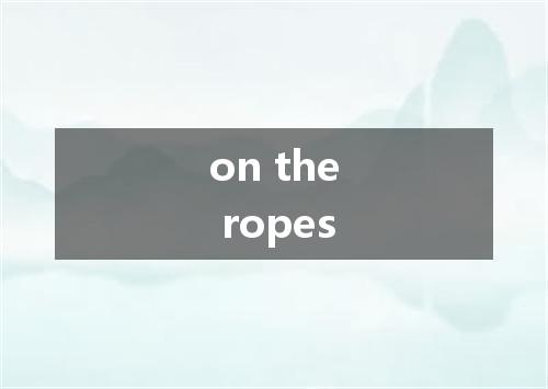 on the ropes是什么意思