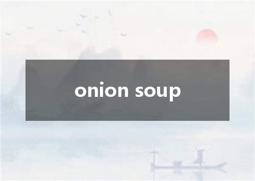 onion soup是什么意思