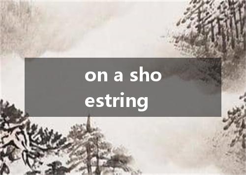 on a shoestring是什么意思