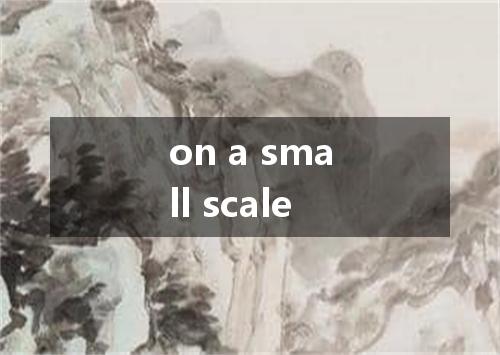 on a small scale是什么意思