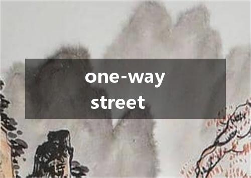 one-way street是什么意思