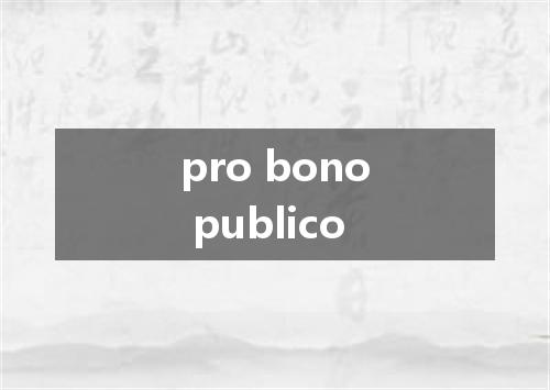 pro bono publico是什么意思
