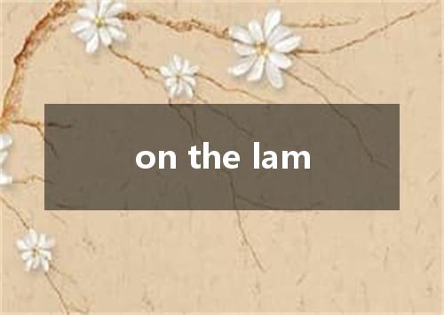 on the lam是什么意思