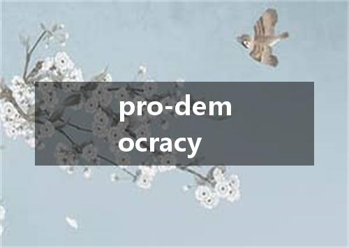 pro-democracy是什么意思