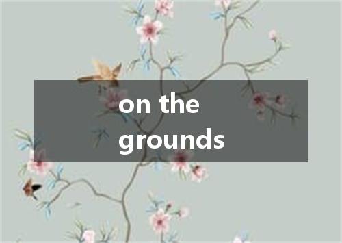 on the grounds是什么意思