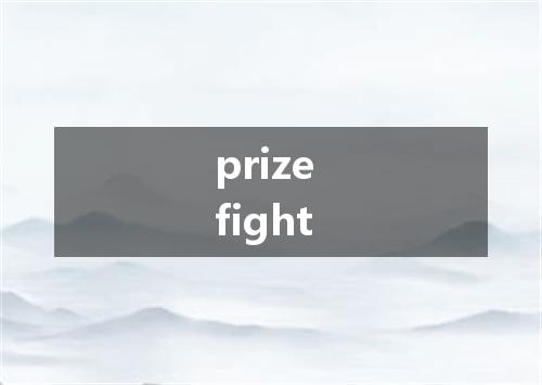 prize fight是什么意思