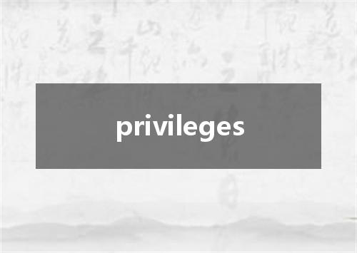 privileges是什么意思
