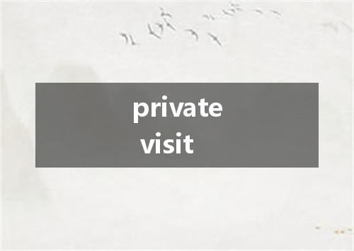 private visit是什么意思