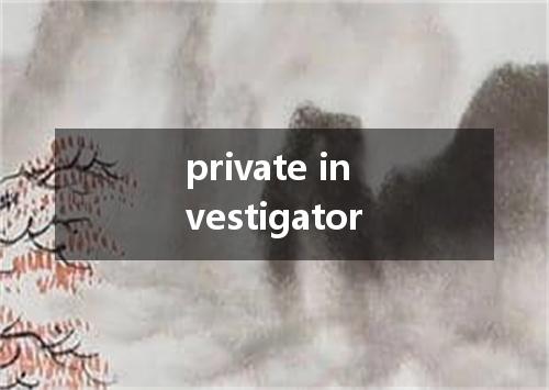 private investigator是什么意思