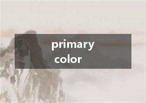 primary color是什么意思