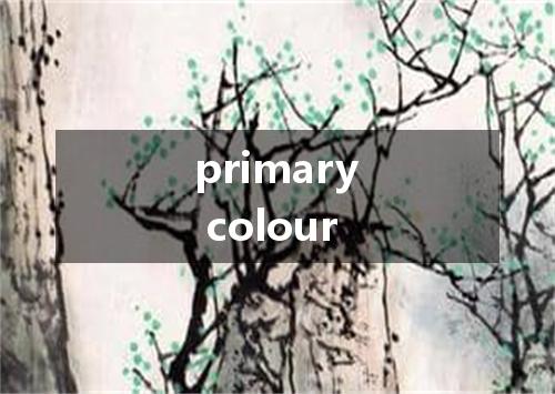 primary colour是什么意思