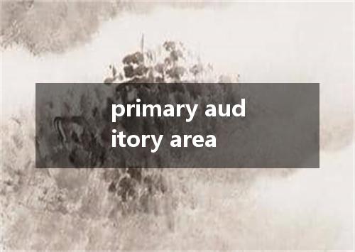 primary auditory area是什么意思