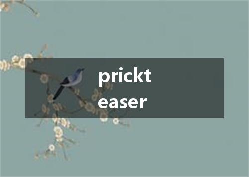 prickteaser是什么意思