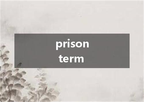 prison term是什么意思