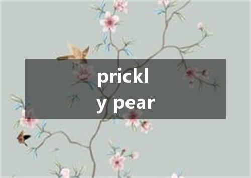 prickly pear是什么意思