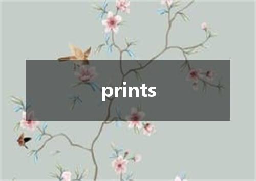 prints是什么意思