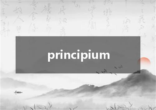 principium是什么意思