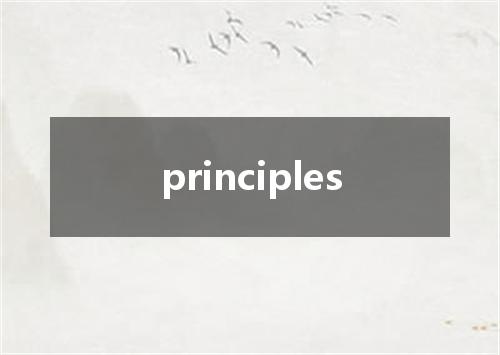 principles是什么意思