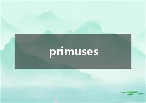 primuses是什么意思