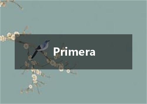 Primera是什么意思