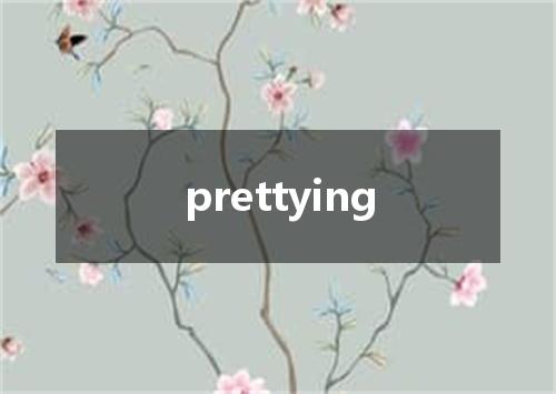 prettying是什么意思