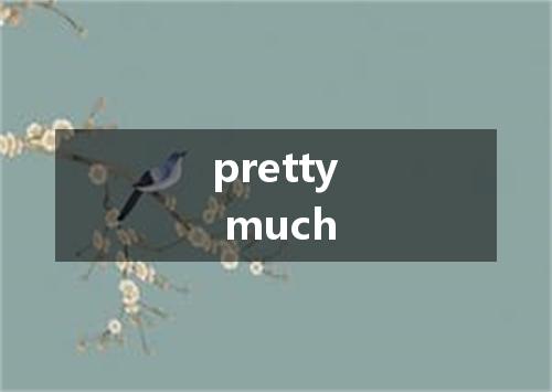 pretty much是什么意思