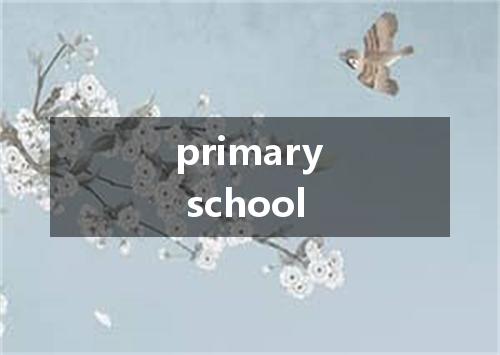 primary school是什么意思