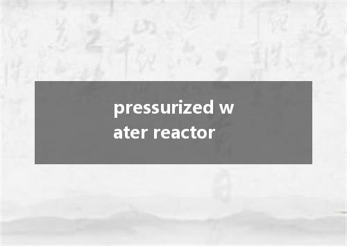 pressurized water reactor是什么意思