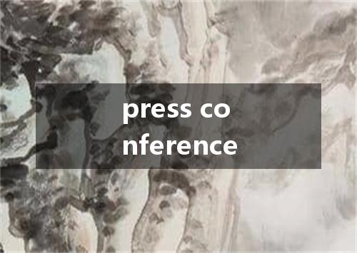 press conference是什么意思
