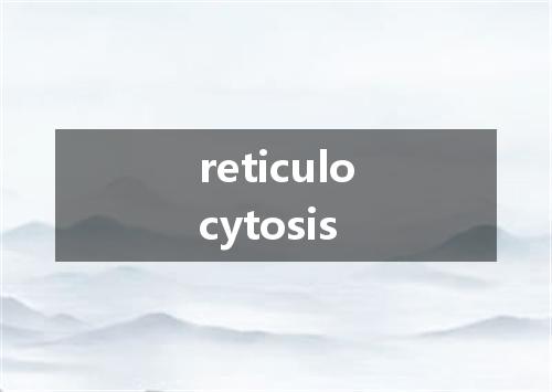 reticulocytosis是什么意思