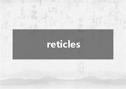 reticles是什么意思