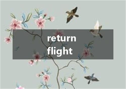 return flight是什么意思