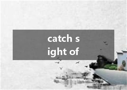 catch sight of是什么意思