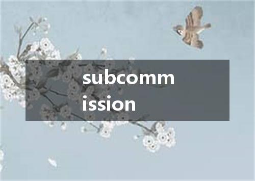 subcommission是什么意思