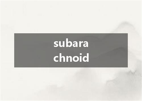 subarachnoid是什么意思