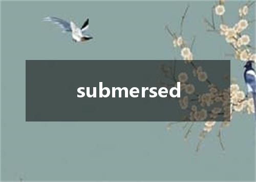 submersed是什么意思